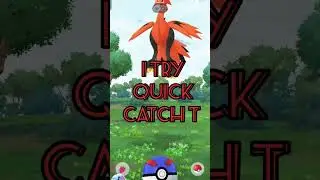how to 100%fled any galarian bird's use quick catch 🤣#viralshort #pokemongo