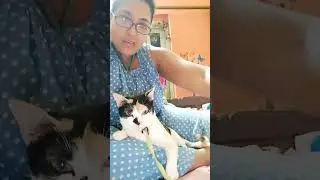 আজকাল আমার এই বিল্লি টা এত পাজি হয়েছে তোমাদের কি বলবো একটা ছোট্ট ঘটনা শেয়ার করলাম দেখো কেমন লাগে
