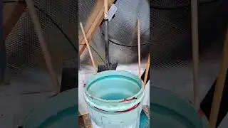 Как мы охлаждаем нашу теплицу в летние месяцы! Предупреждение о жаре! #пассивнаясолнечнаяэнергия ...