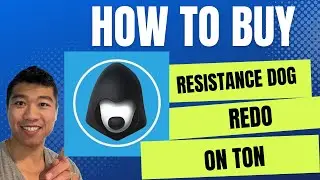 How to buy Resistance Dog (REDO) on the TON network