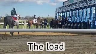 Wood Memorial Stakes 2022 Recap