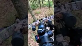 CRAZY crossbow deer neck shot