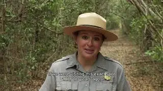 Connections: Exploring Biscayne National Park  (Episode 3: The  Florida Keys   )