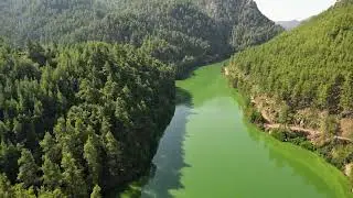 Sığla Ormanlarında SUP Keyfi 🚣&zwj;♂️ | Eşsiz Doğa, Buz Gibi Sular ve Macera Dolu Bir G&uuml;n!