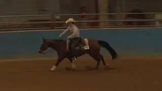 AUSTIN LYONS ON JERRYS HOT JEWEL 32617 NRHA OPEN