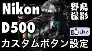 ☆C♪R☆ カスタムボタン設定！Nikon D500AFエリア！！野鳥撮影時！Ver.1.0