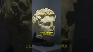 Кто такие Диадохи? #history #факты #диадохи #древняягреция #интересныефакты