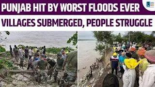 Punjab Faces Worst Floods Ever: Crops Destroyed, Families Displaced, Lives Lost | #flood #punjab