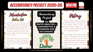 Accountancy Project Class 12th | Project On Dabur Ltd (Ratio + Comparative & Common Size Statement)