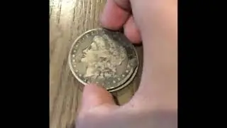 Morgan Coin Discovery