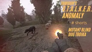 Mutant Blind Dog Troika - Stalker Anomaly #Shorts
