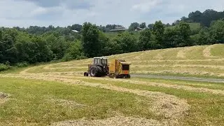 Spring Hay Day