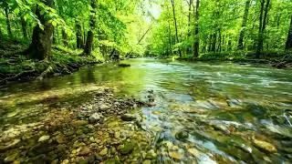 Water Flow and Forest Birds, Relaxing Nature Ambience, White Noise for Healing and Sleep