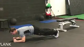 Dad Bod 2.0 - Program Free Bonuses