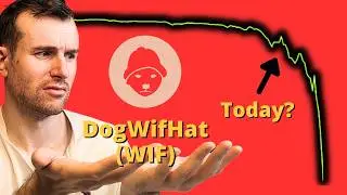 DogWifHat мертв? 💀 Анализ криптотокена WIF