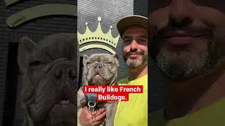When You&rsquo;re A Frenchie Dog Dad #when #you #are #frenchie #dogdad #viral