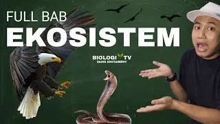 BAB EKOSISTEM - BIOLOGI SMA MATERI KELAS KURIKULUM IPA MIPA