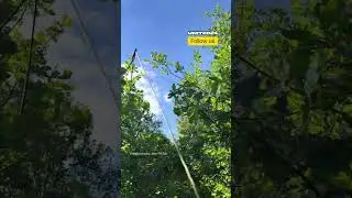 Ukrainian Soldier Detects and Cuts the Fiber Optic Cable That May Lead to Russian FPV Drone