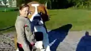 Jampe ja puukoira