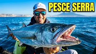 KAYAK FISHING, traina con il vivo al pesce serra