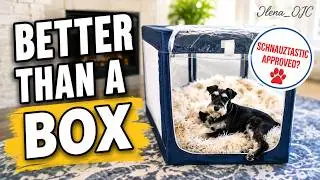 How to Set Up a Puppy Playpen for Indoor & Outdoor Use? Safe Space for Dogs?