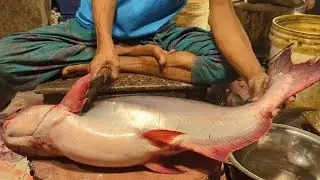 Fast Pangas Fish Cutting Skills | Amazing Seafood Cleaning Technique