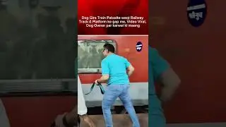 Dog Gira Train Pakadte waqt Railway Track & Platform ke gap me, Video Viral, Dog Owner par karwai ki