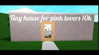 10K Tiny home for pink lovers coco builds