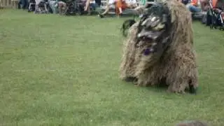 Spring Festival Shisha Dog