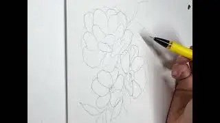 Real time flower sketch
