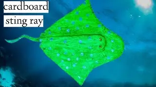cardboard stingray |diy stingray|cardboard fish|diy fish model| sting ray fish making|sting ray fish