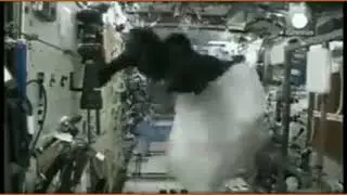 Astronaut Mark Kelly's Secret Gorilla Suit Adventure in Space | Hidden Pranks in ISS
