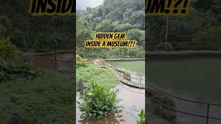 This is Baguio&rsquo;s Ben Cab Museum  #travelvlog #tourism #trending #summer #garden