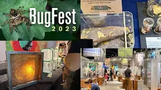 2023 BUGFEST AT NC MUSEUM OF NATURAL SCIENCES