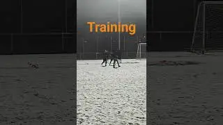 Zur&uuml;ck auf dem Platz ⚽ Starkes Fu&szlig;balltraining