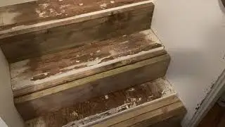 Stair tread extension