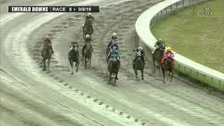 2019 WA Cup Juvenile Colt or Gelding Stakes