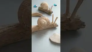 SCHNECKE AUS TREIBHOLZ 🐌 #shorts #diy #craft #bastelnmitkindern #muscheln #treibholz #basteln