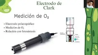 Fluorescencia de clorofila como indicador del funcionamiento fotosint&eacute;tico