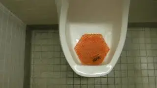 1. Office Building Restroom Full Shoot