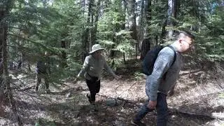 Spaulding lake trail