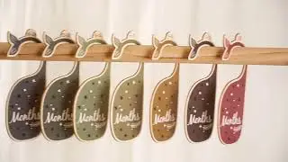 Wonder Space Clothes Dividers