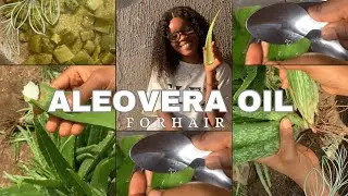 DIY: HOW TO MAKE ALEOVERA OIL FOR MASSIVE HAIR GROWTH