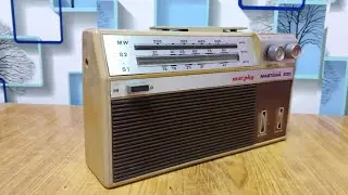 Murphy Mastana 300 TBO -595 (sold out in dunghargarh)
