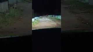 Бі-лед лінзи Aozoom AMS a4, Свет Санта фе 3.