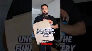 I Unboxed a Funko Mystery Box For a Chance of getting a PROTO Inside!
