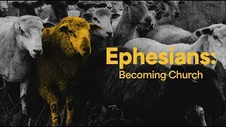 New Life East - Andrew Arndt-  November 16, 2025