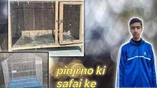 Pingrno ki safai ki😮‍💨# bohat gand par gaya#Aryan shah#Alam shah