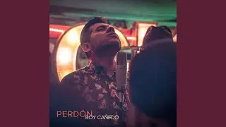 Perdón
