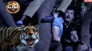 Tiger के डर से पूरी CID टीम पेड़ पर चढ़ गई ! || CID | Latest Episode ||